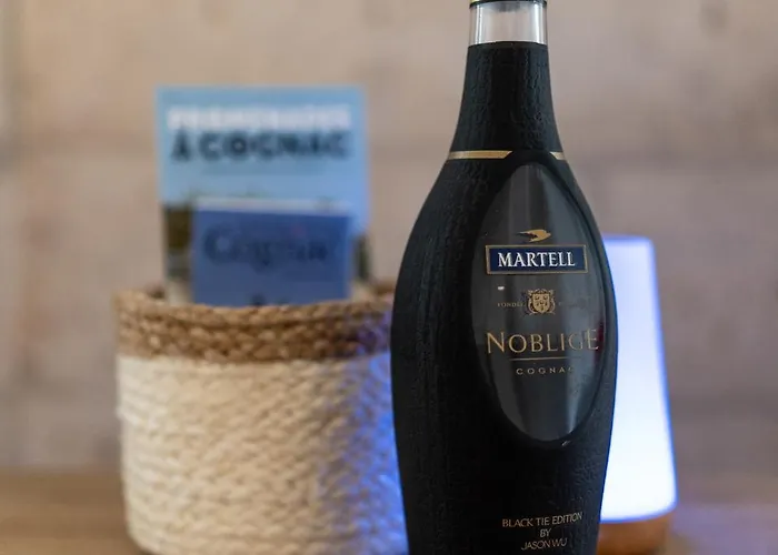 Le Cocooning, Coeur De Cognac, Wifi Et Parking Appartement